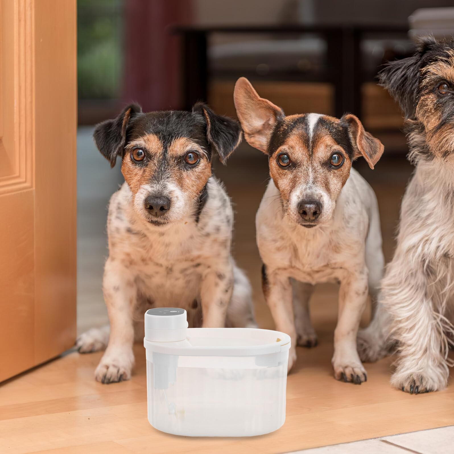 Fontana Acqua per Animali Domestici Senza Fili con Sensore di Movimento Intelligente Dispenser Silenzioso e Resistente per Cani e Gatti Circolazione Continua e Capacità Grande per