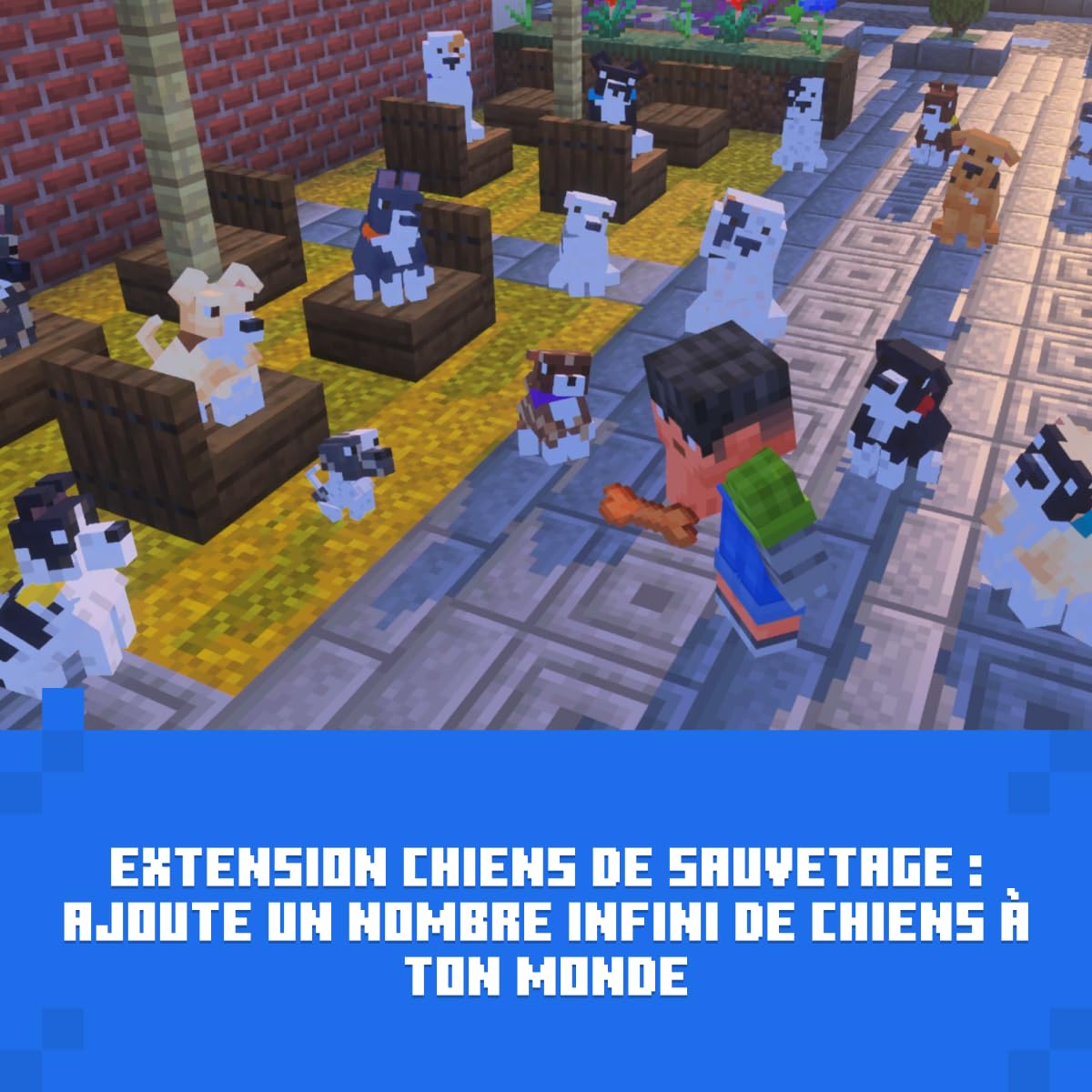 Minecraft: Ultimate Collection| Xbox One/Series X|S- Download Code