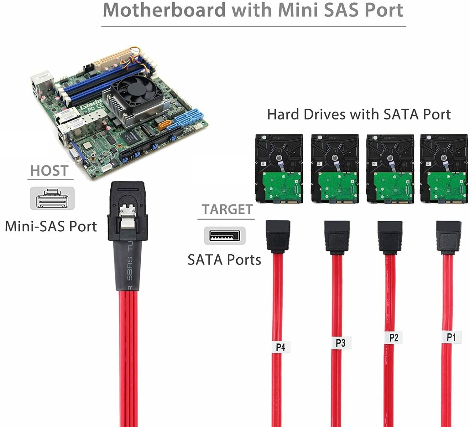 saaa kさま専用 Amazon.co.jp: Mini SAS - SATAケーブル SFF-8086 - 4X SATA