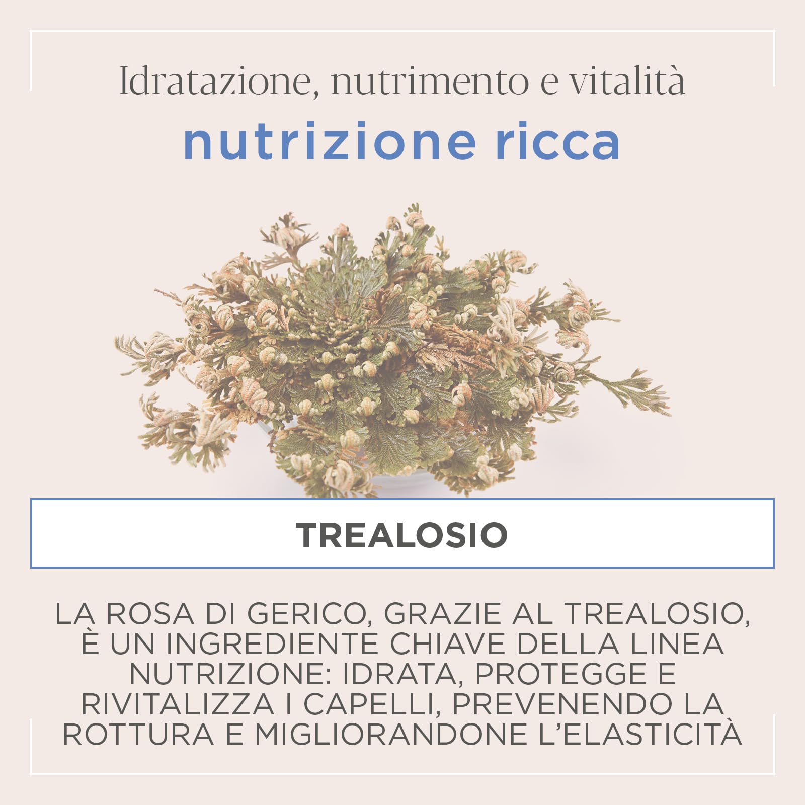 Actyva Nutrizione Ricca Maschera Capelli Secchi 500 ml