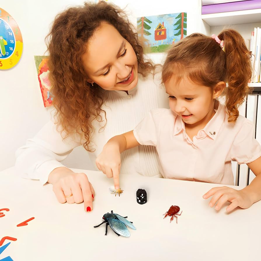 せみのようきゅう 71LrgGMyfUL._UF350,350_QL50_.jpg