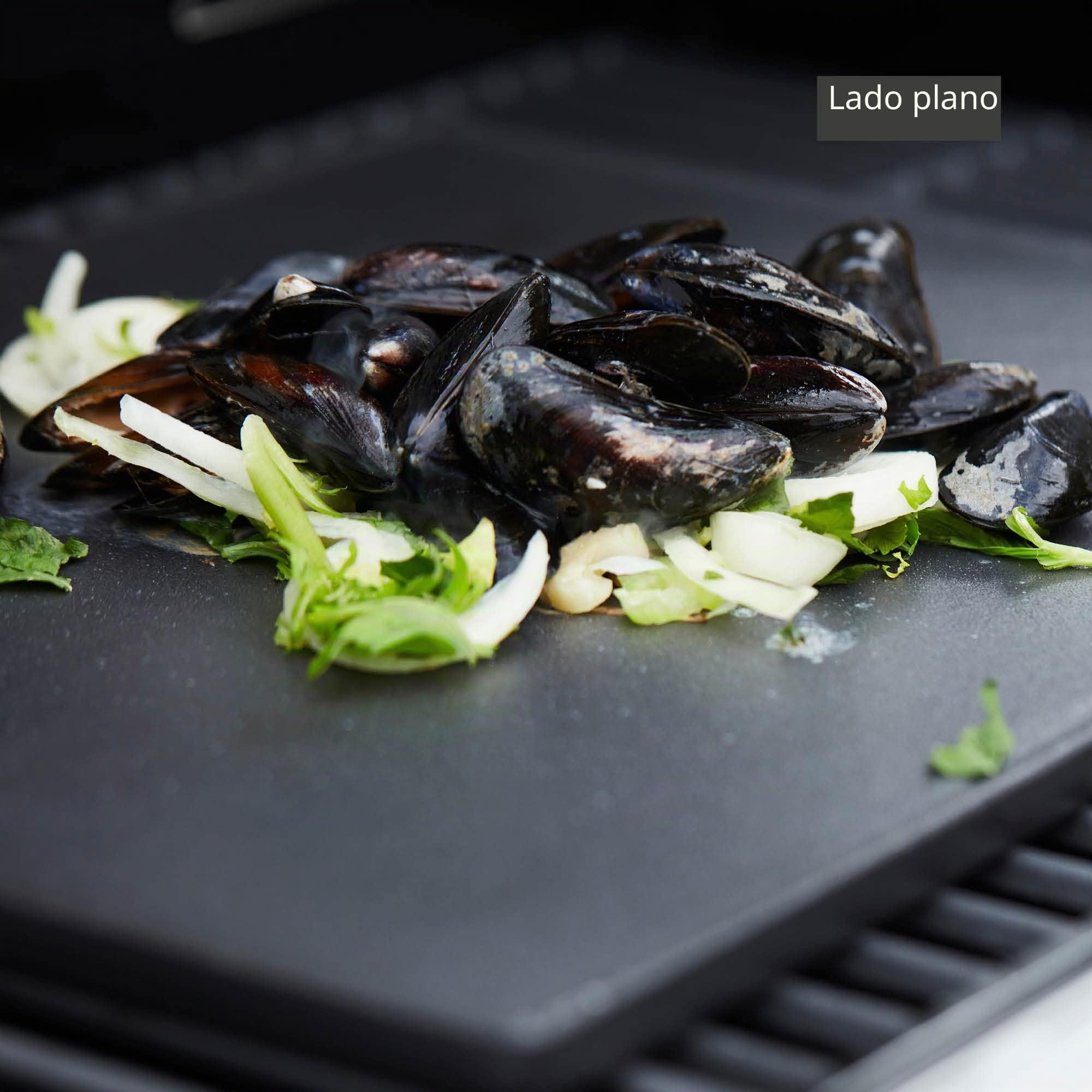 Plancha DE Cocina Universal
