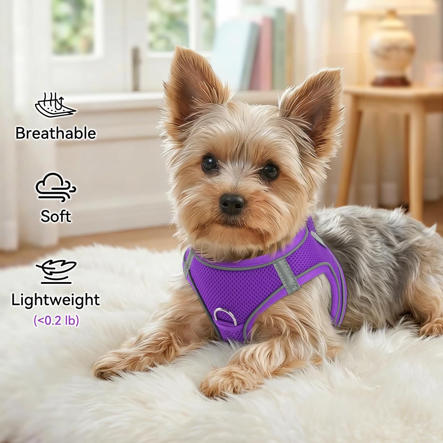 Joytale Step-in Dog Harness, Soft Breathable Mesh, Purple XL image 4