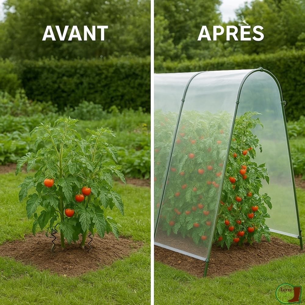 TERRE JARDIN Serre à tomates de Jardin 200x180x120 cm avec Film Plastique Haute résistance & arceaux Acier - Microclimat, Protection tomates Contre intempéries, idéale jardinière Tomate