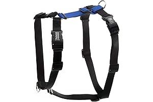 Balance Harness With Buckle Neck