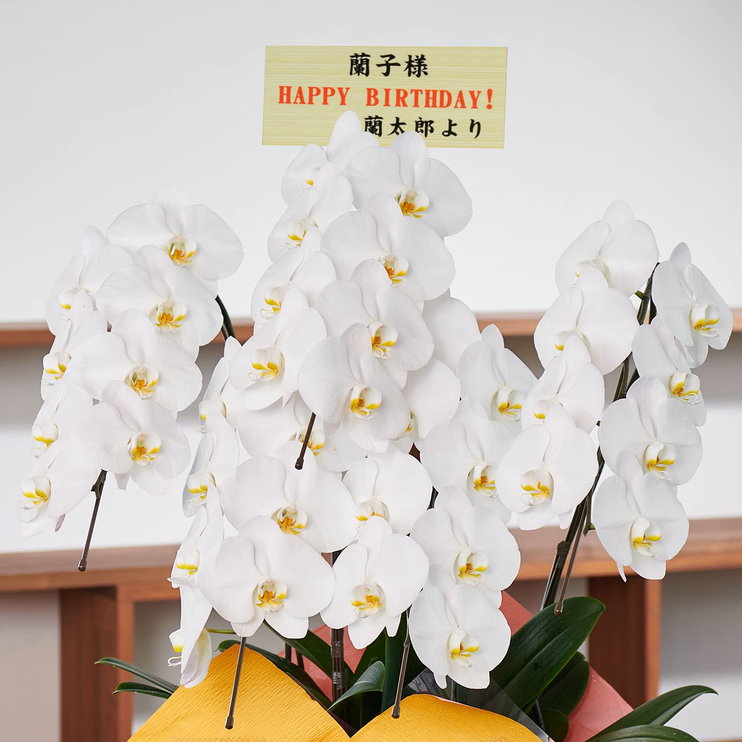 Amazon|□□花上に飛び出す木札付き!□□【胡蝶蘭専門店 Amazon|□□花上に飛び出す木札付き!□□【胡蝶蘭専門店