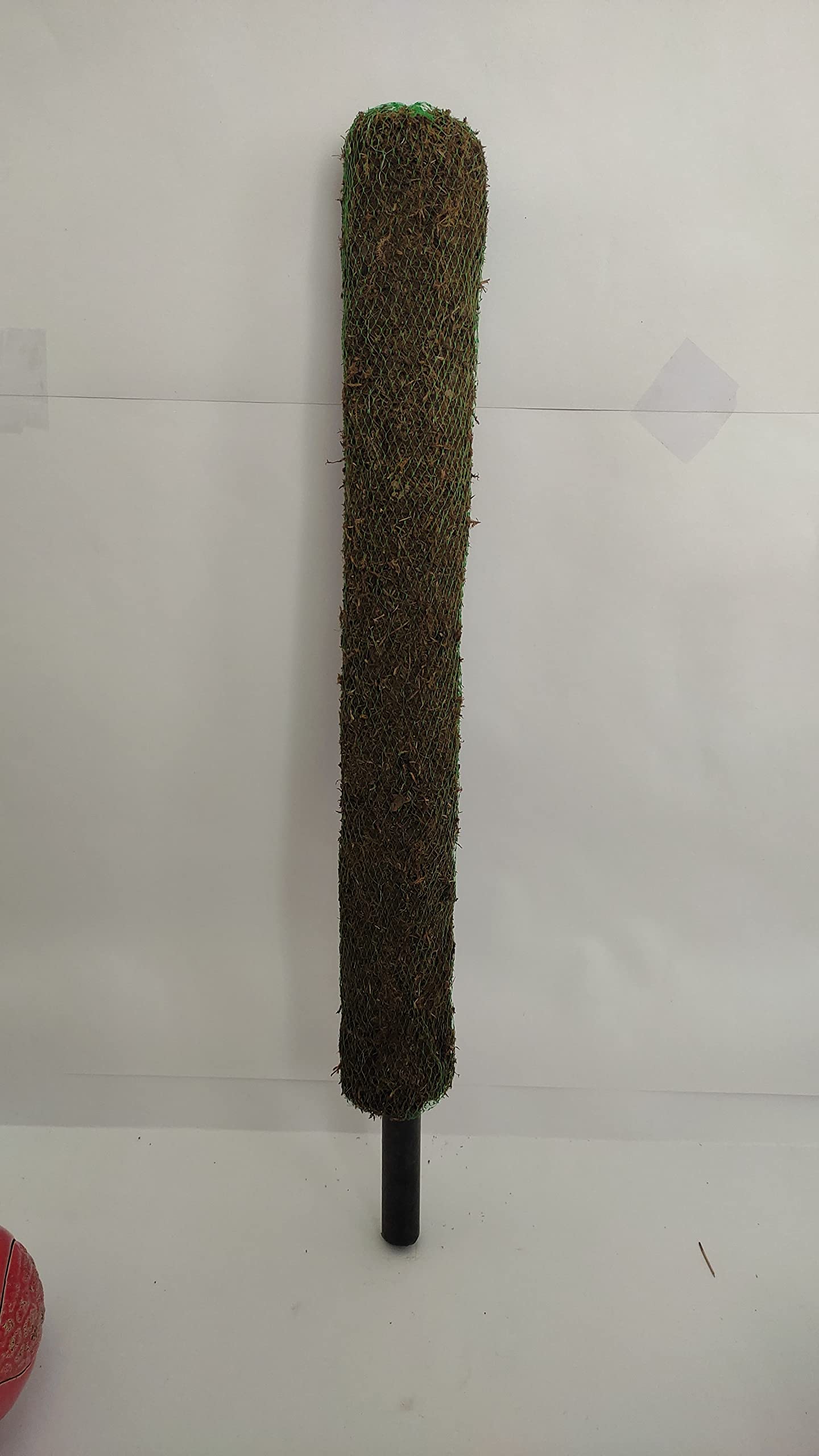See full amazon price history chart for Live-Plants Moss Sticks for Plants 3ft | Moss Pole for Indoor or Outdoor Climbing Plants Like Money Plant or Vail | 3 feet, Pack of 4 Moss Sticks for Plant Climbing (Plant Support Sticks) Live-Plants Moss Sticks for Plants 3ft | Moss Pole for Indoor or Outdoor Climbing Plants Like Money Plant or Vail | 3 feet, Pack of 4 Moss Sticks for Plant Climbing (Plant Support Sticks) (B09FHYVZ29) Amazon Price History, Amazon Price Tracker