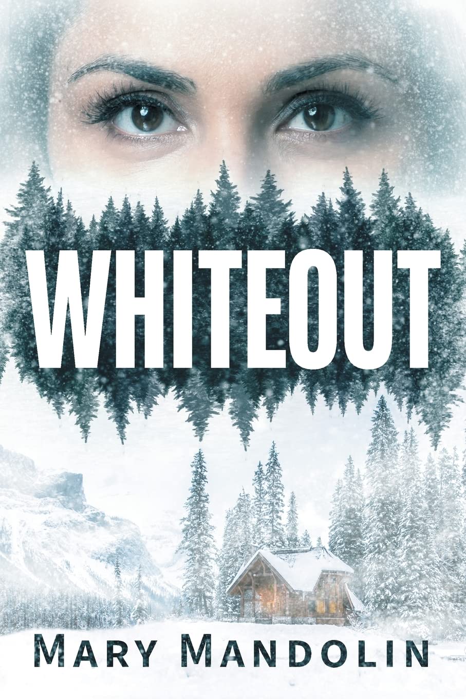 Buy Whiteout — BookShops.in