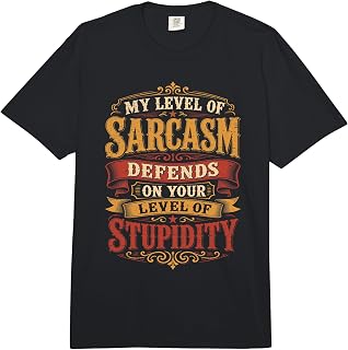Irony My Level of Sarcasm Depends On Your Level of Stupidity Comfort Colors Adult Heavyweight T-Shirt