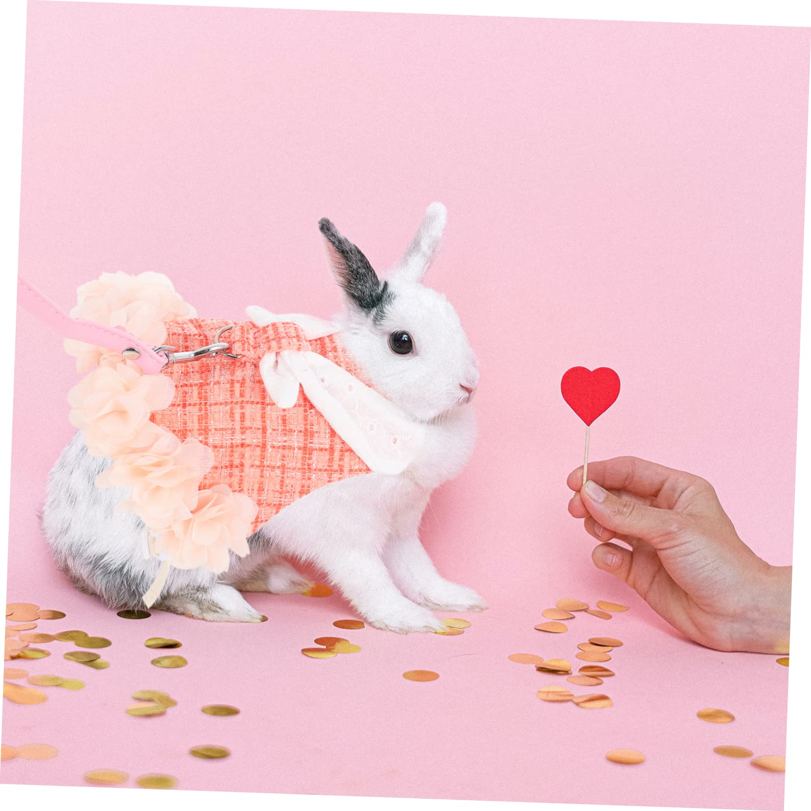 BESPORTBLE 3sätze Dekoratives Bunny Geschirrset Mit Leine Für Haustiere Trendiges Outfit Für Kaninchen Für Feiertage Und Aus Atmungsaktivem Material