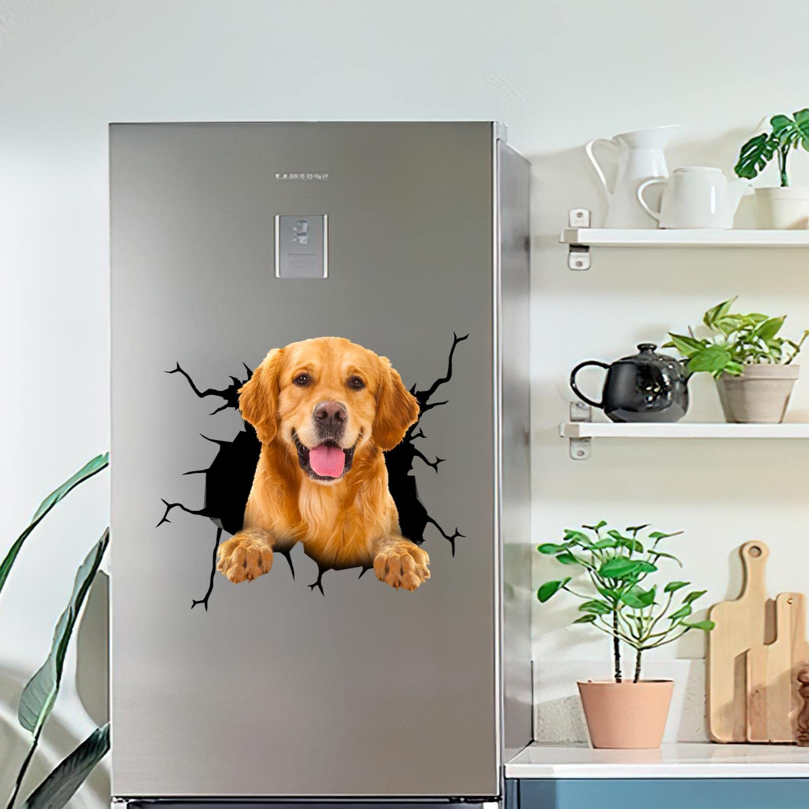 美品　hayu ゴールデンレトリバー　プレート　Black 美品 hayu ゴールデンレトリバー プレート Black 美品 hayu ゴールデン