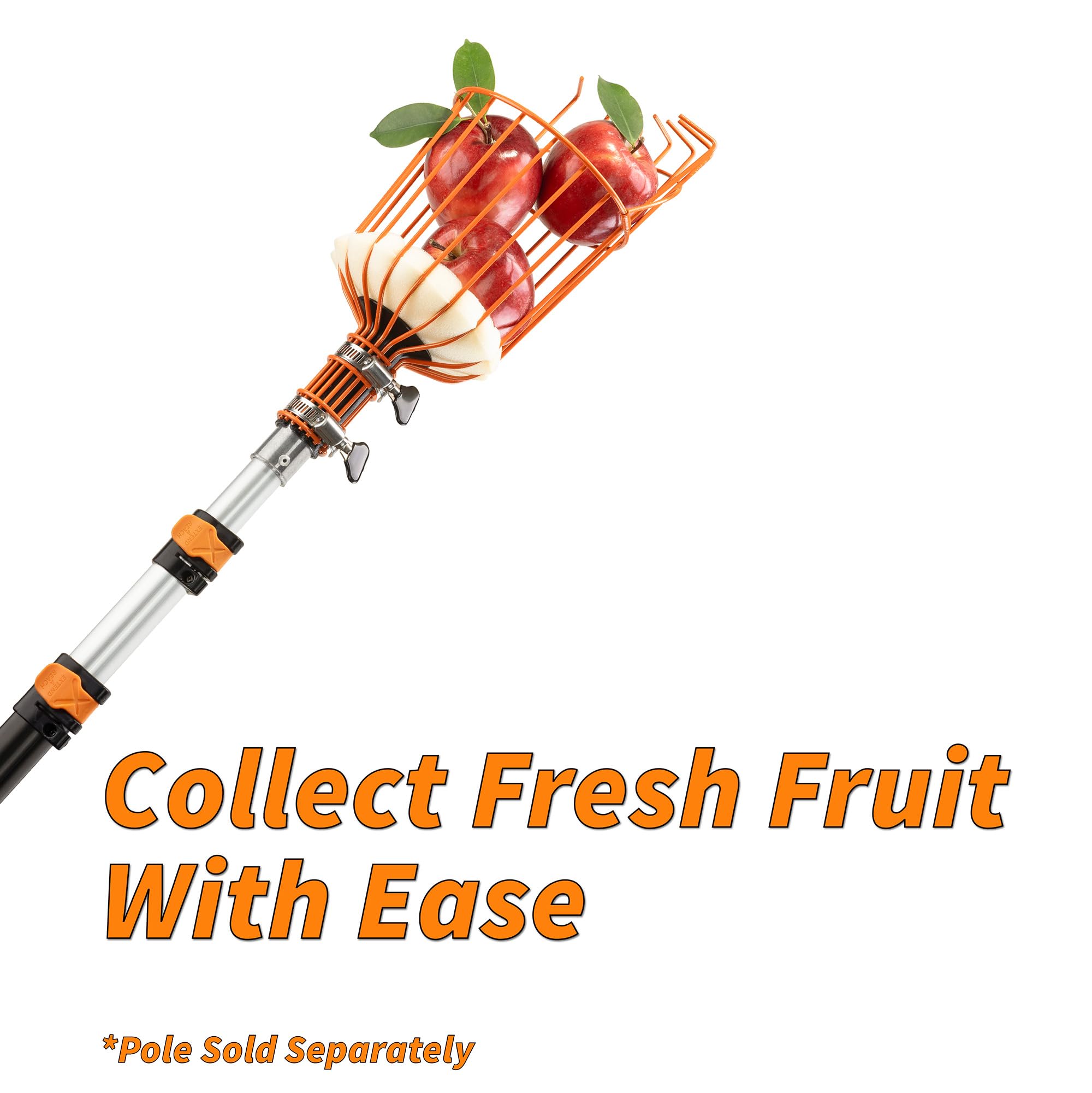Extend-A-Reach Solo Cesta recolectora de Frutas // La Cesta recolectora de Manzana giratoria Solo se Adapta a Poste de extensión estándar Acme // Herramienta de Recogida de árboles frutales para