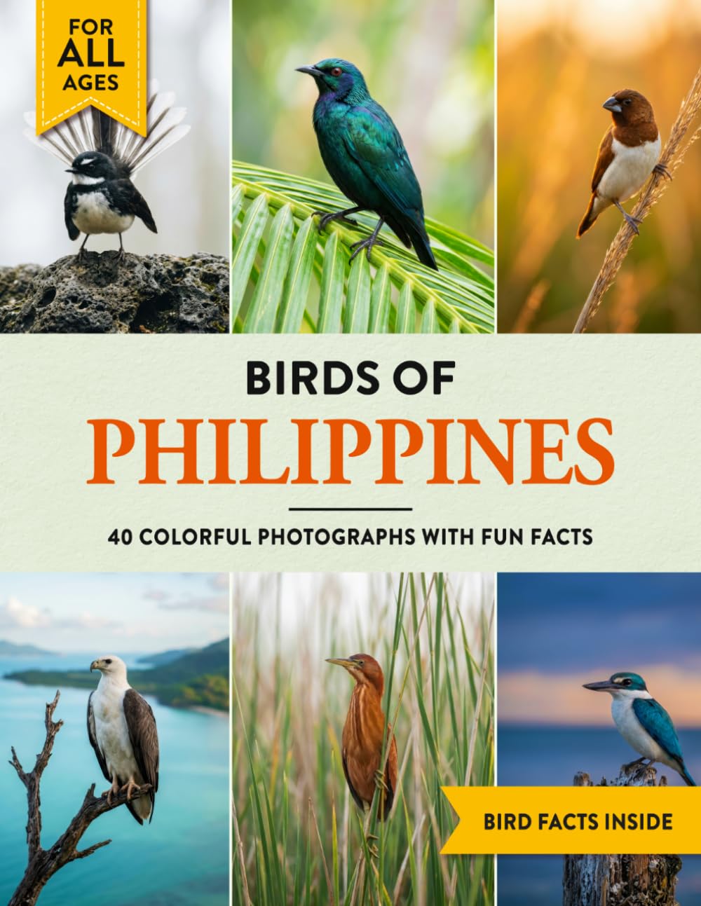 Birds of Philippines: A Birdwatching Picture Book with Fun Facts and Photography for Kids, Adults & Birders
