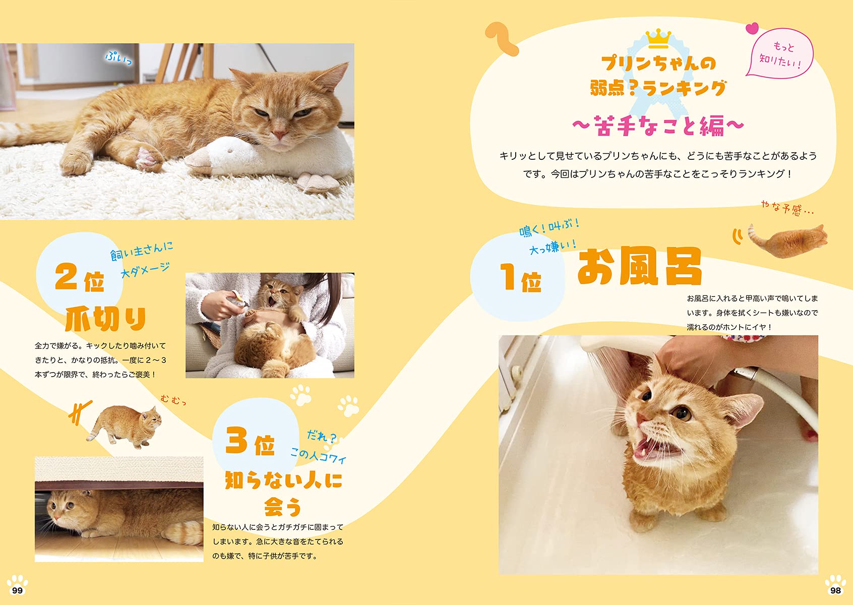 短い足がキュートなマンチカンのプリン 短足マンチカンのプリン 本 通販 Amazon
