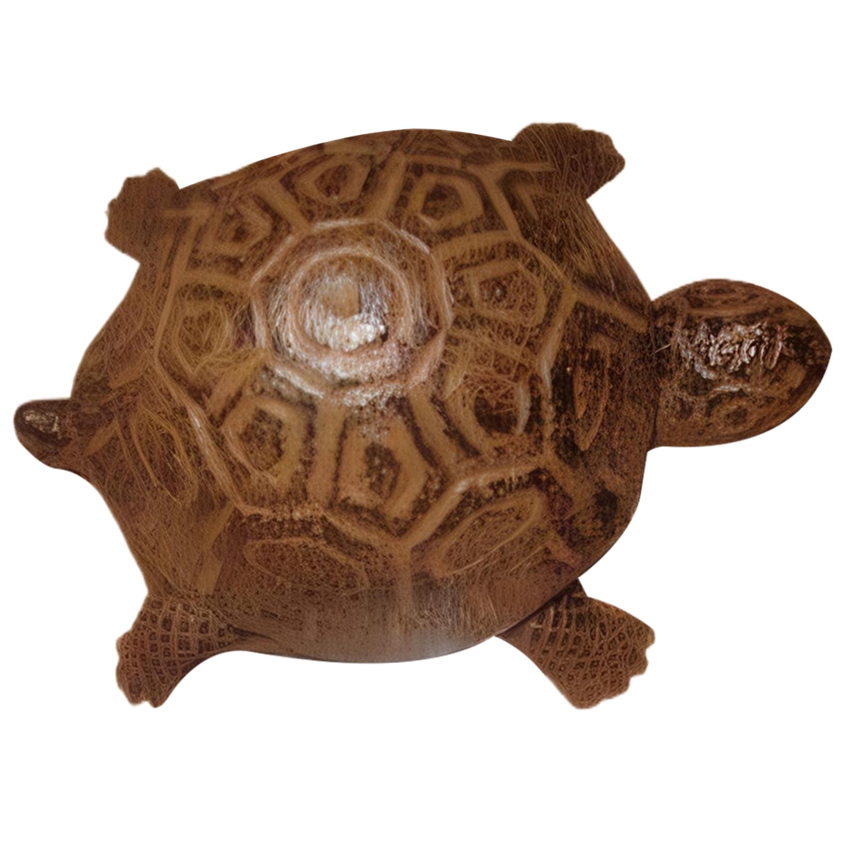 Spare Key Hider Turtle-shaped Hide A Key Cast Iron Hidden Holder, Weather Resistant 4.5x2.2x3.4inch Decorative Hider for Outdoor Yard Garden, Hidden Holder for Outside
