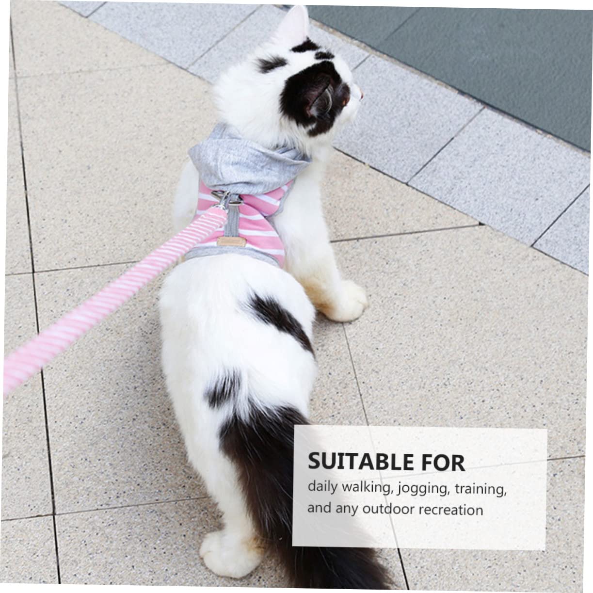 VANZACK 2stücke Pet Mit Atmungsaktive Weste Im No-Pull Design Für Katzen Verstellbar Für Sicheres Spazierengehen Und Erhältlich