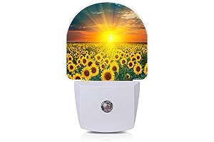 Enchanting Sunflower Night Light: Illuminate Your Nights with Nature's Charm