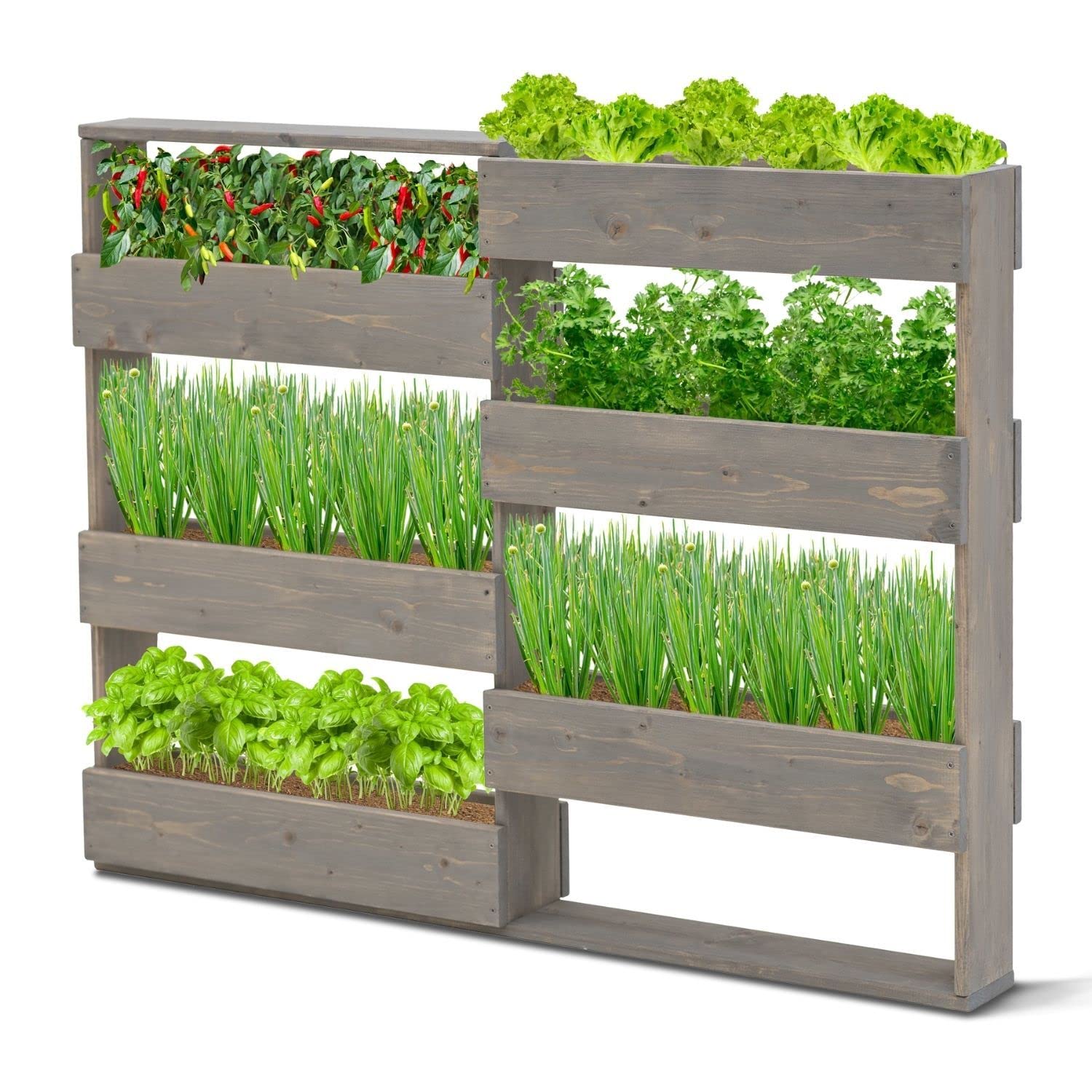 Coemo RIGA Vertikales Kräuterbeet aus Nadelholz 110x18x93 cm, Farbe Grau | Ergonomische Arbeitshöhe rückenschonend, Kräuterbeet Gemüsebeet oder Blumenbeet, Platzsparende Vertikale Bauweise, Pflanzen