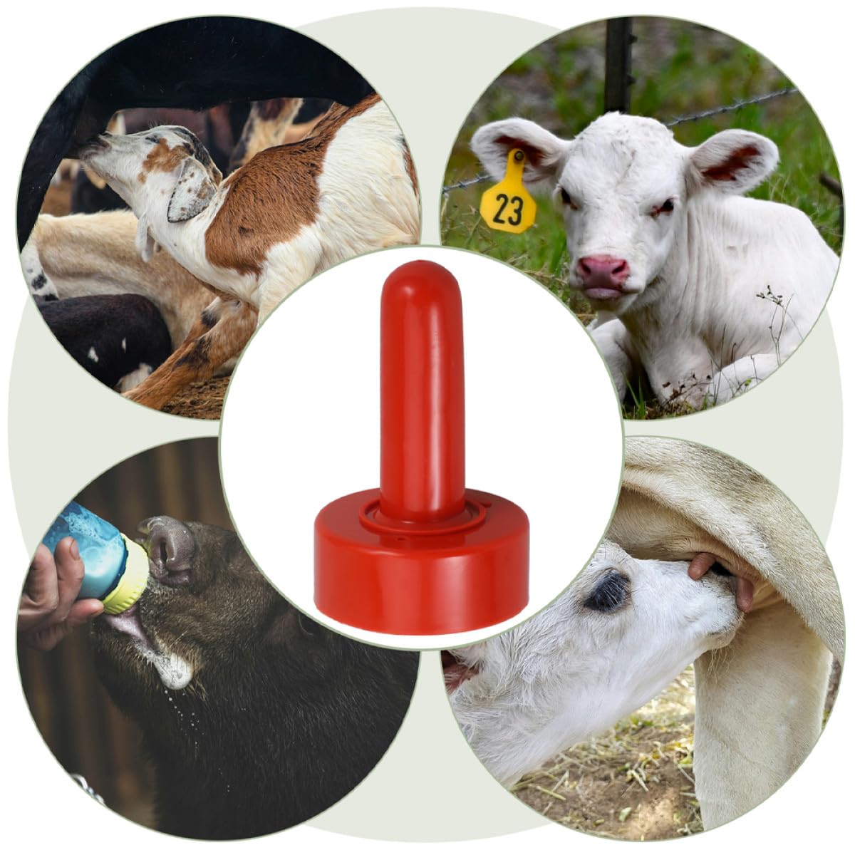 10 Tetinas de Goma Rojas Buena Resistencia Tracción Paquete de 10 Piezas y Operación Sencilla para Alimentación de Terneros y Vacas