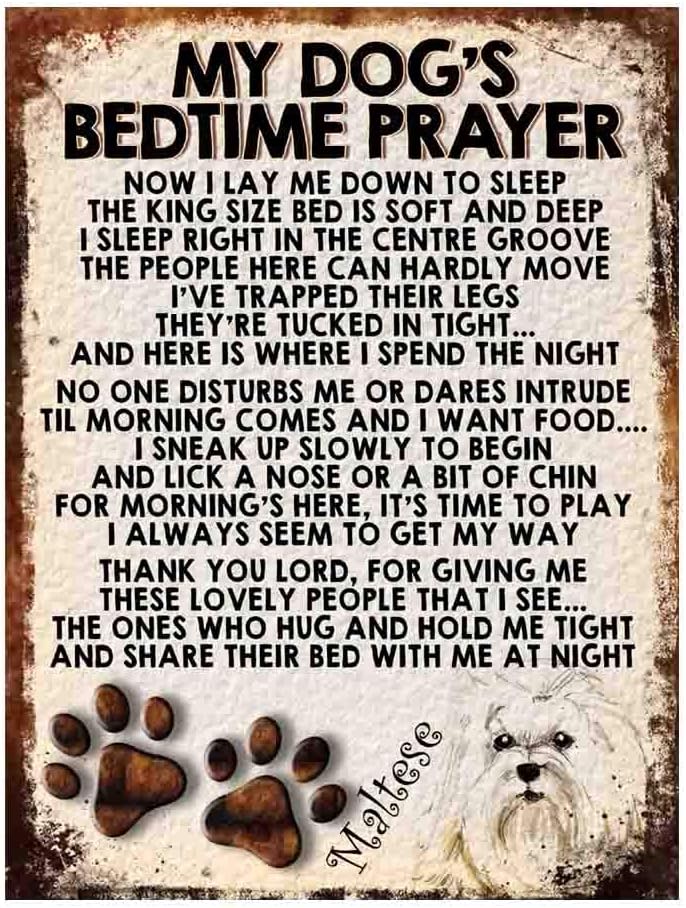 MY DOG'S BEDTIME PRAYER RETRO STYLE METAL TIN SIGN/PLAQUE (MALTESE), 8" x 6"