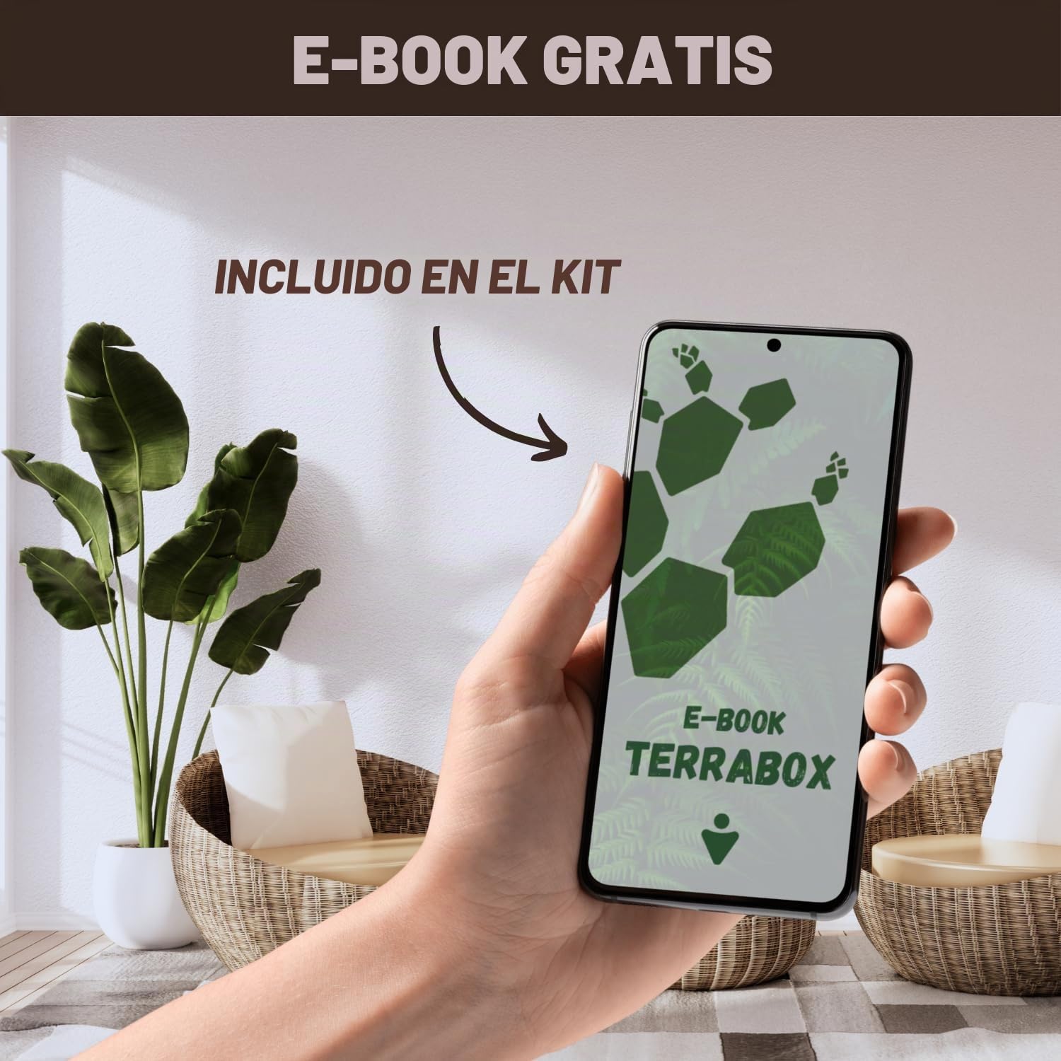 NOPALIA® Kit Bonsái 3 Especies Bio Listo para Crecer con Herramientas Pro (Pinza, Tijeras, Pipeta), Macetas, Tierra y Base Innovadora - Garantía 95% Germinación - Idea de Regalo Zen Navidad Fabricado