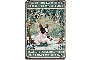 JIOBVTS Tin Sign Once Upon A Time There was A Girl Who...