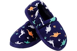 Boys' Dinosaur Slippers: Adventure on Every Step