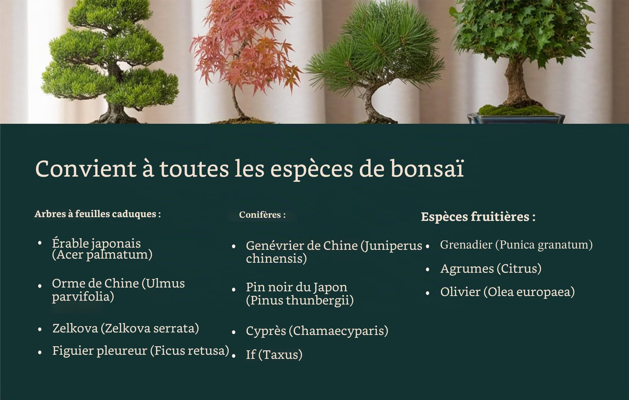 Garten Lux Spray bio Vital pour feuilles de bonsaï 300 ml 16 oligo-éléments