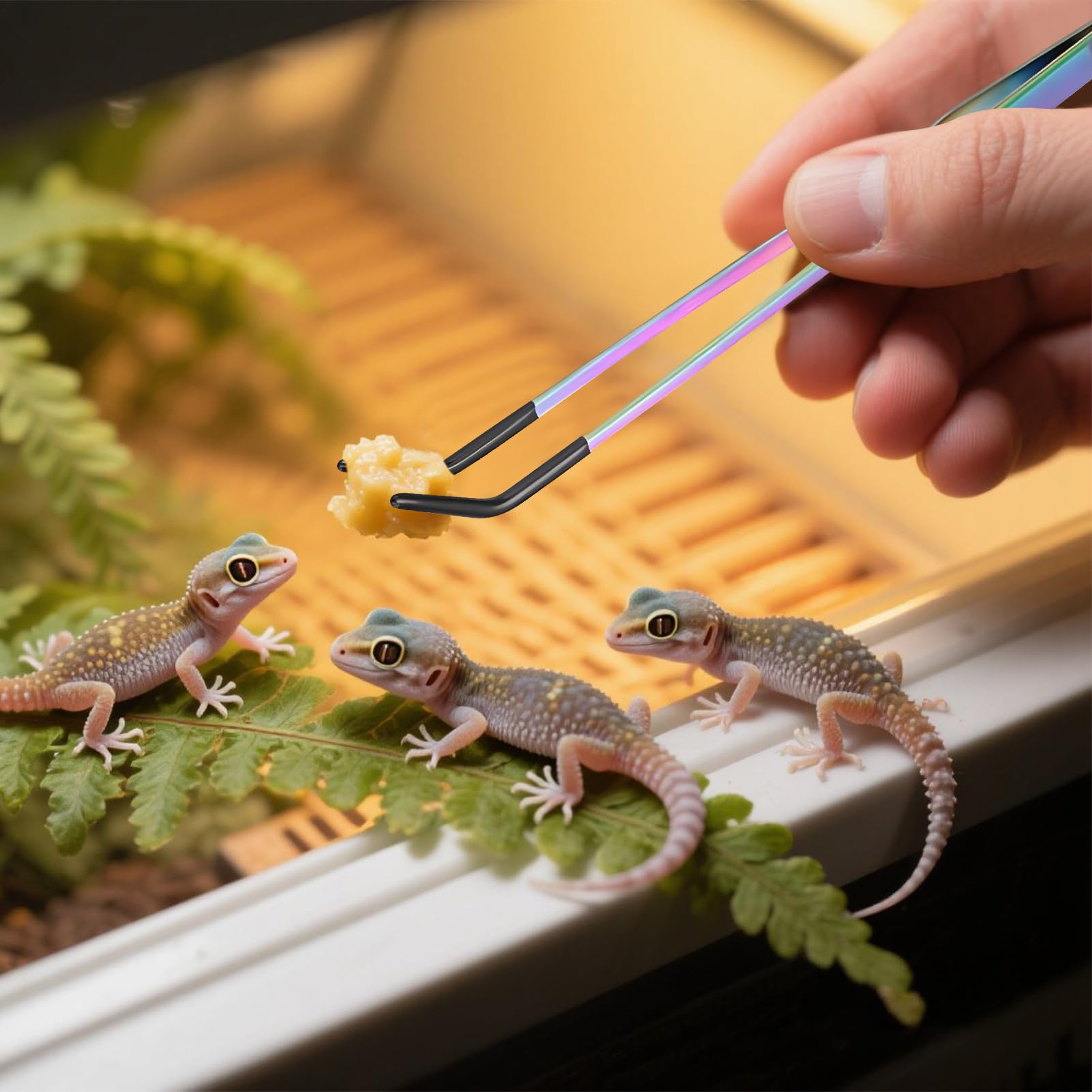 Pinzas de Alimentación, Pinzas Rectas y Curvas, Accesorios Y Herramientas Con Cabezal De Silicona Antideslizante Para Lagartos, Plantas Acuáticas, Arañas, Terrario De Mascotas, Hogar Y Serpientes