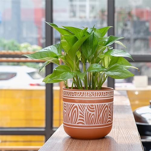 Miniatura 5 de Juego de 2 macetas de terracota para suculentas de 4.6 + 6 pulgadas, macetas de arcilla de terracota con drenaje