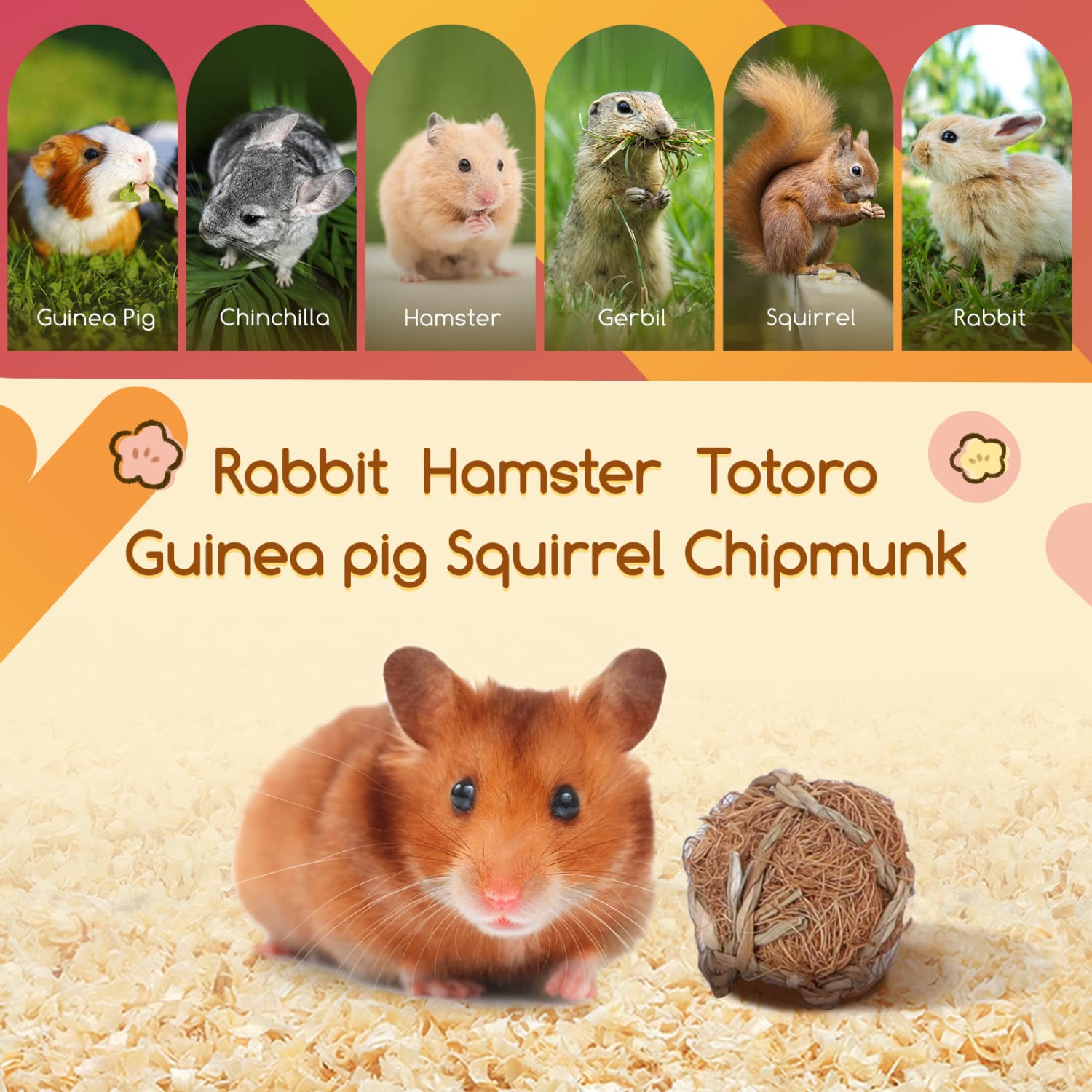 Nobleza 6 Pezzi Piccoli Animali Che Giocano a Palle, Palle d'Erba da Masticare e Giocattoli da Masticare a Rotolamento per Migliorare la Salute Dentistica degli Animali Domestici per Conigli