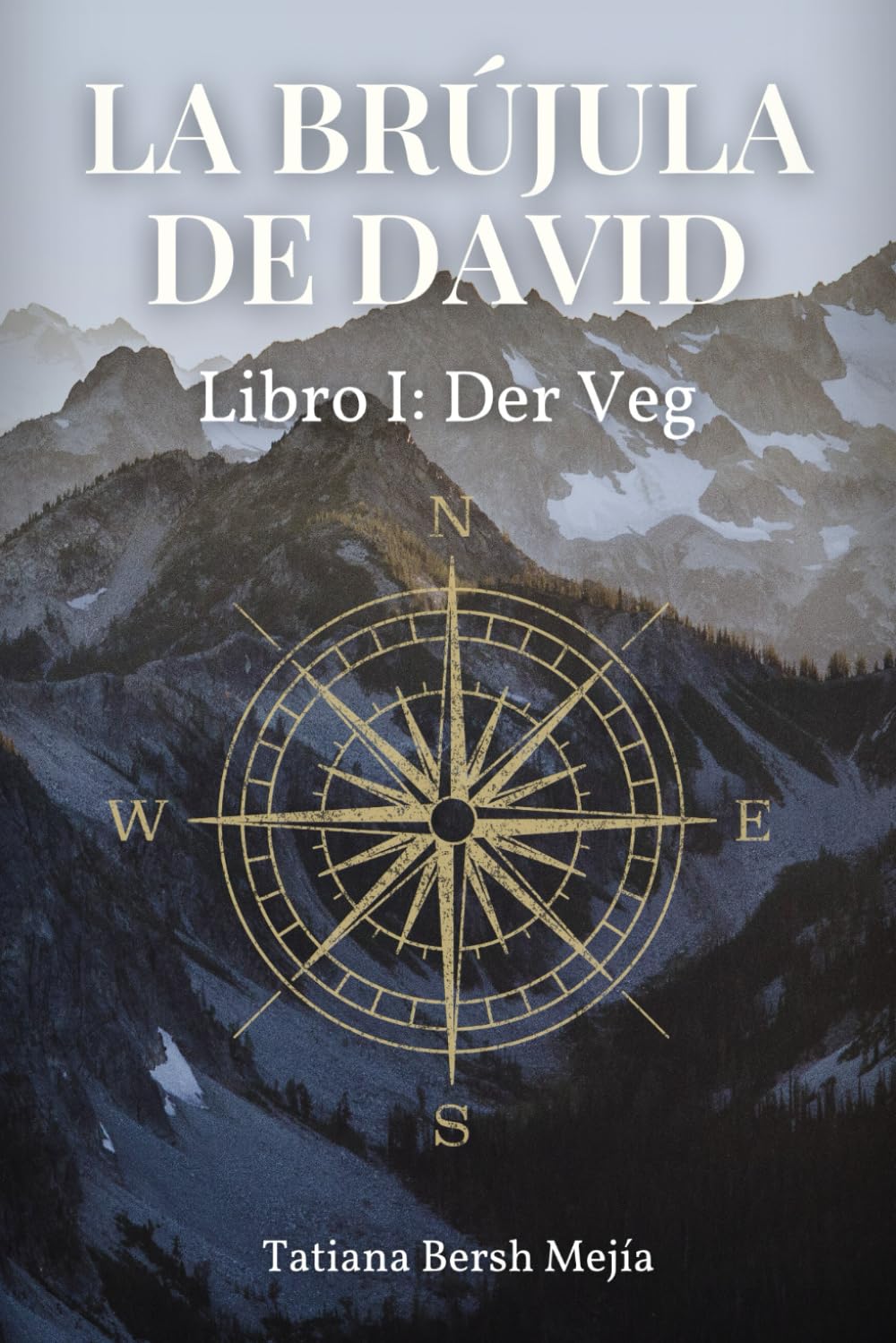 La brújula de David: Libro I: Der Veg