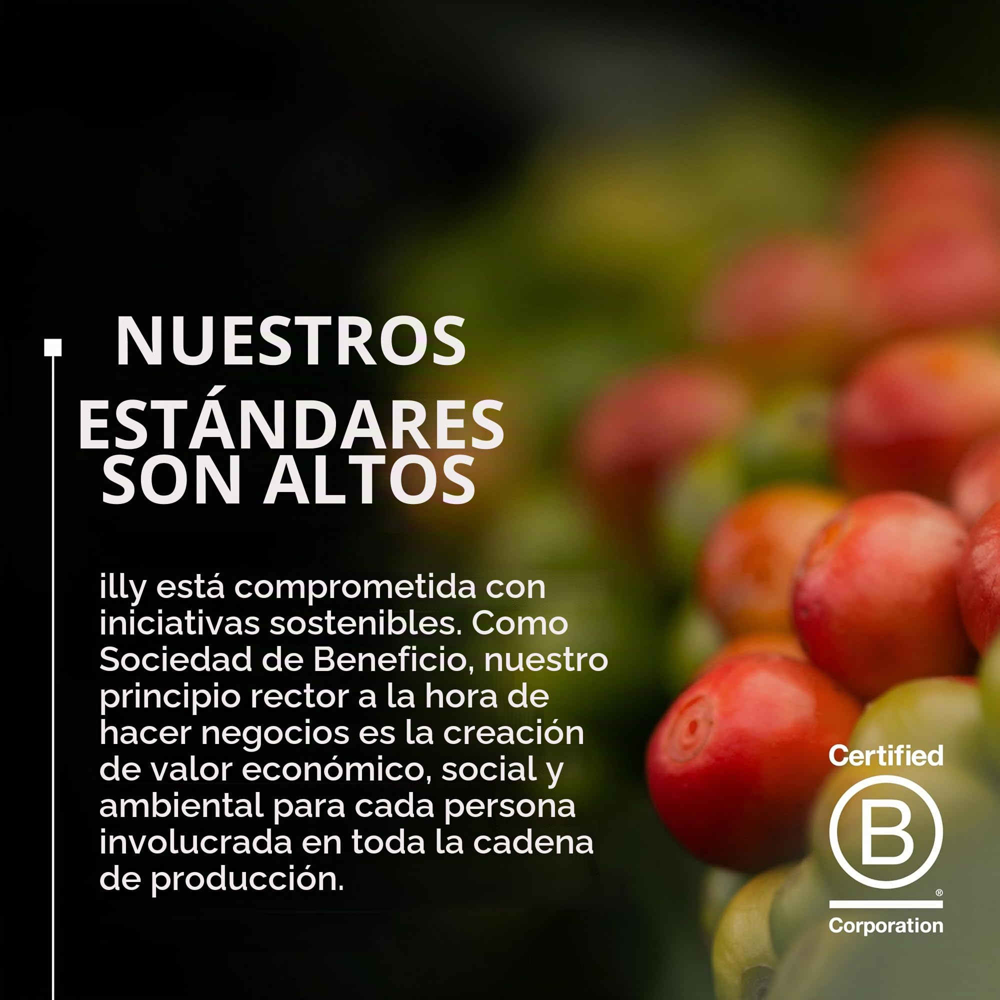 illy, Café en Cápsulas Compatibles de Aluminio CLASSICO, 100% Arabica con notas de flor de naranja y jazmín, sabor dulce y regusto dulce, 10 paquetes de 10 (100 cápsulas en total)