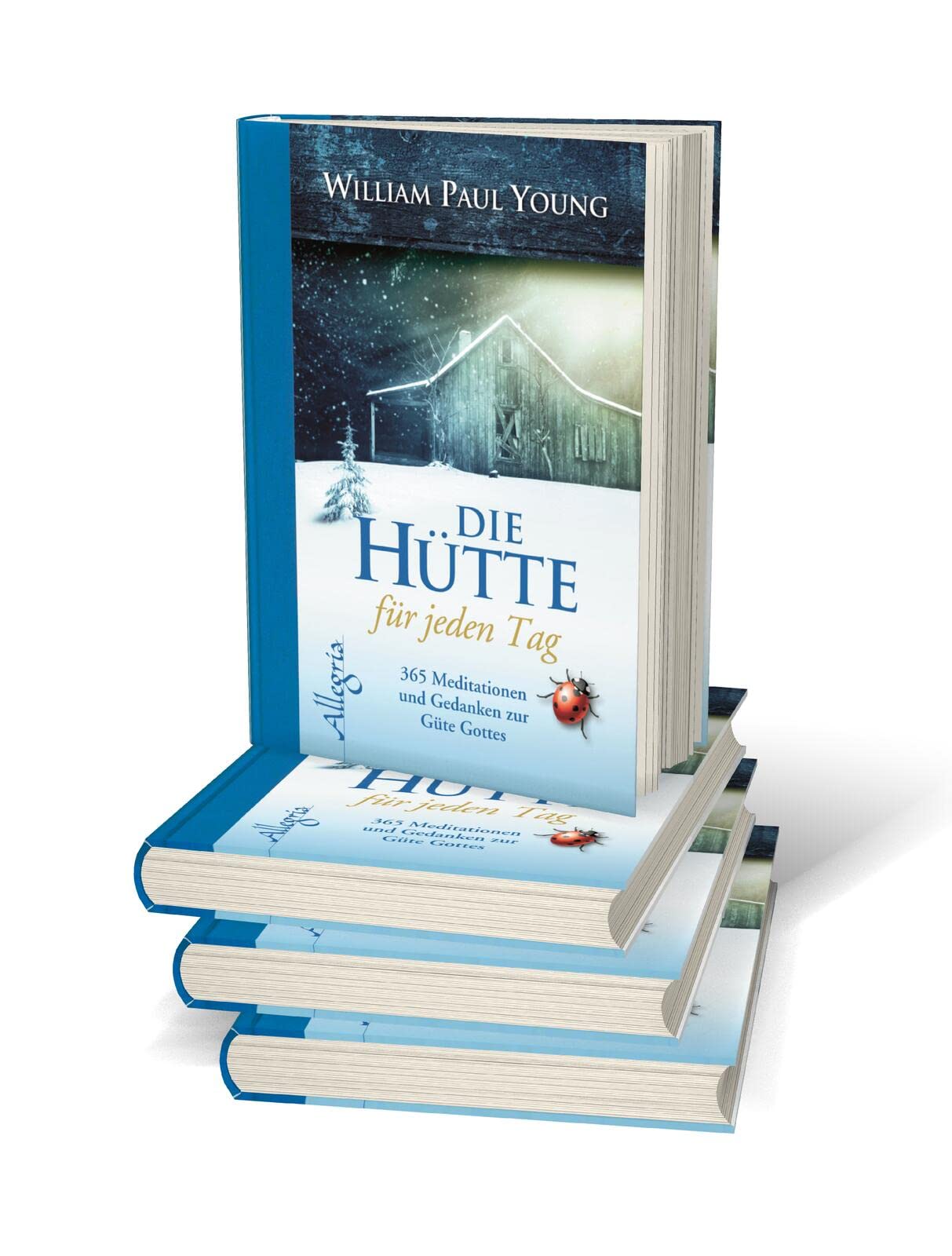 DIE HÜTTE für jeden Tag: 365 Meditationen und Gedanken zur Güte Gottes