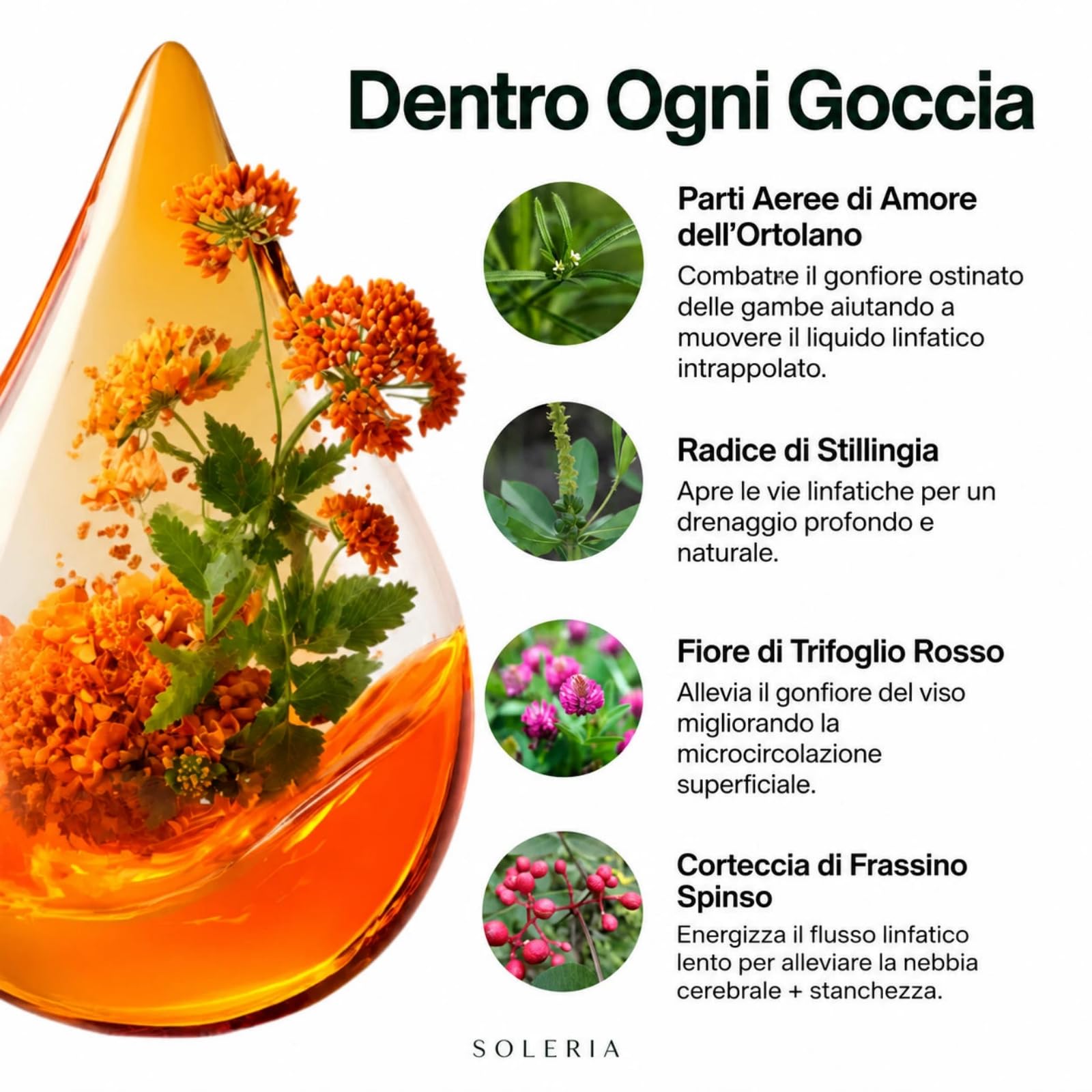 Soleria Drenaggio Linfatico,Gocce Naturali,59ML