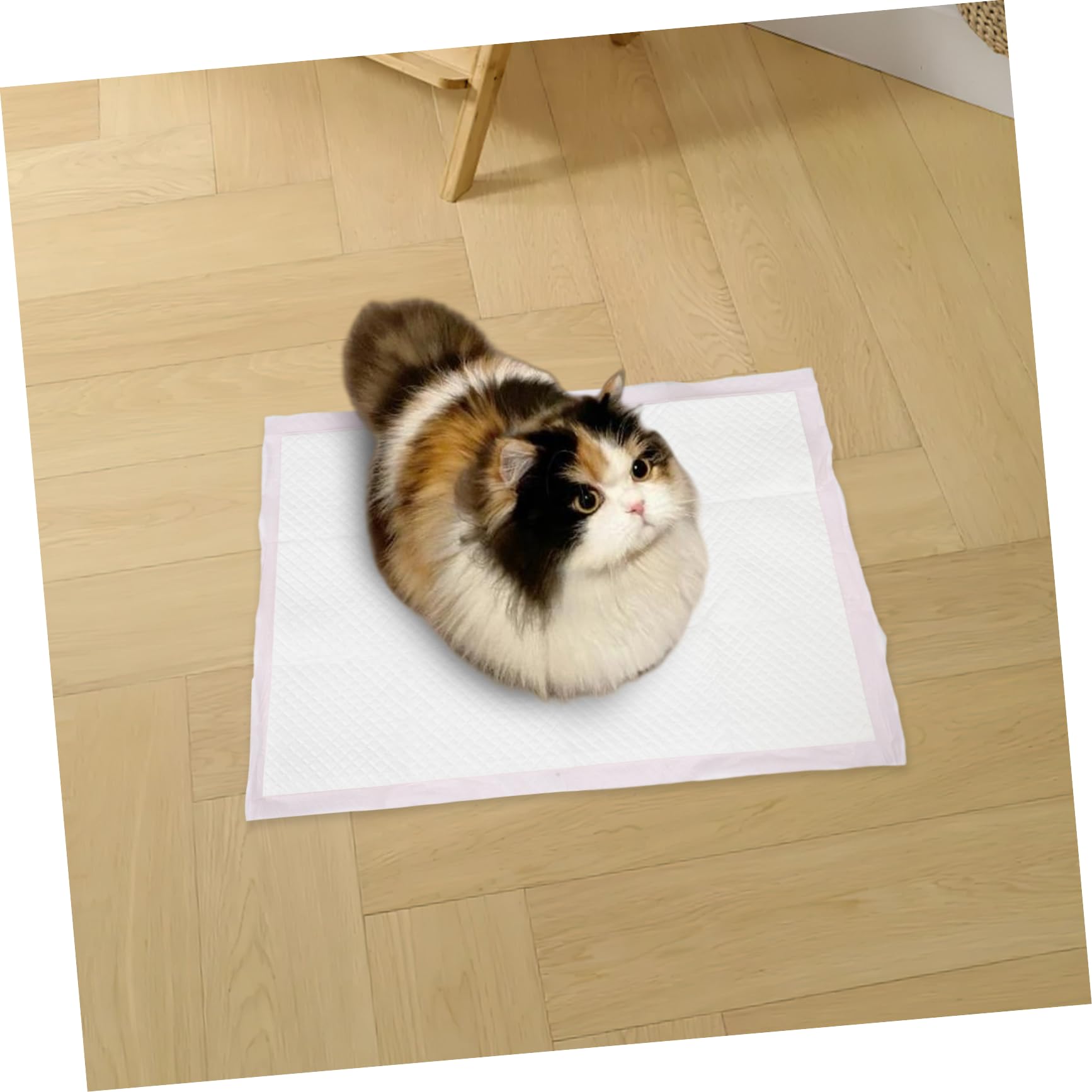 Almohadillas para Orina de Perro Absorbentes y Antifugas 50piezas | Pulp y Pvc, Diseño Grueso, Rosa, para Hogar y Viaje, Uso Versátil para Perros y Conejos