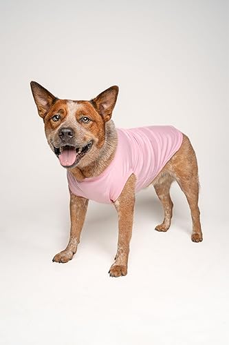 Miniatura 9 de Its A BoyIts A Girl Gender Reveal Pregnancy Announcement Dog Tee Shirt Sizes for Puppies Toys and Large Breeds Sold Separately