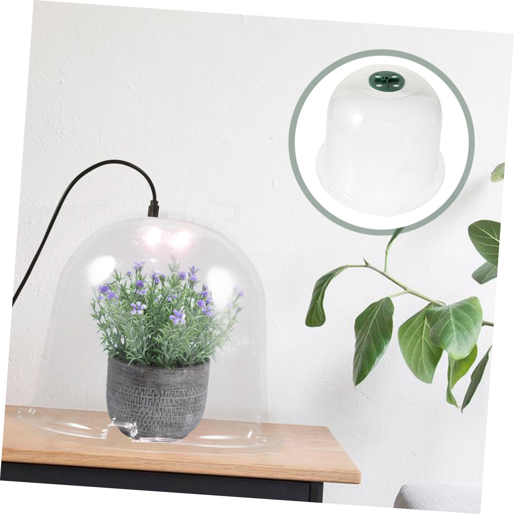 Toyvian 5 Stück Teiliges Pflanzenschutz Pet Transparente Gewächshausabdeckung für Topfpflanzen Schützt Frost für Gartenliebhaber und Pflanzenpflege