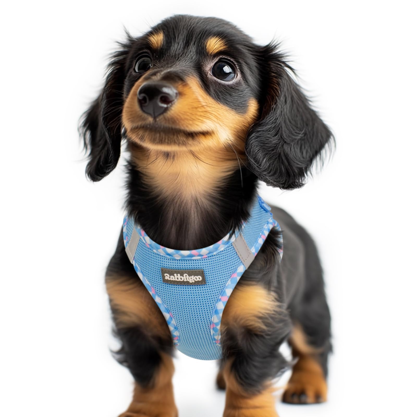rabbitgoo Dog Harness Small Dog, Step-in Soft Mesh Puppy Harness with Reflective Strips, Lightweight Breathable Pet Vest for Walking Training, Blue & Plaid Trim, XXS