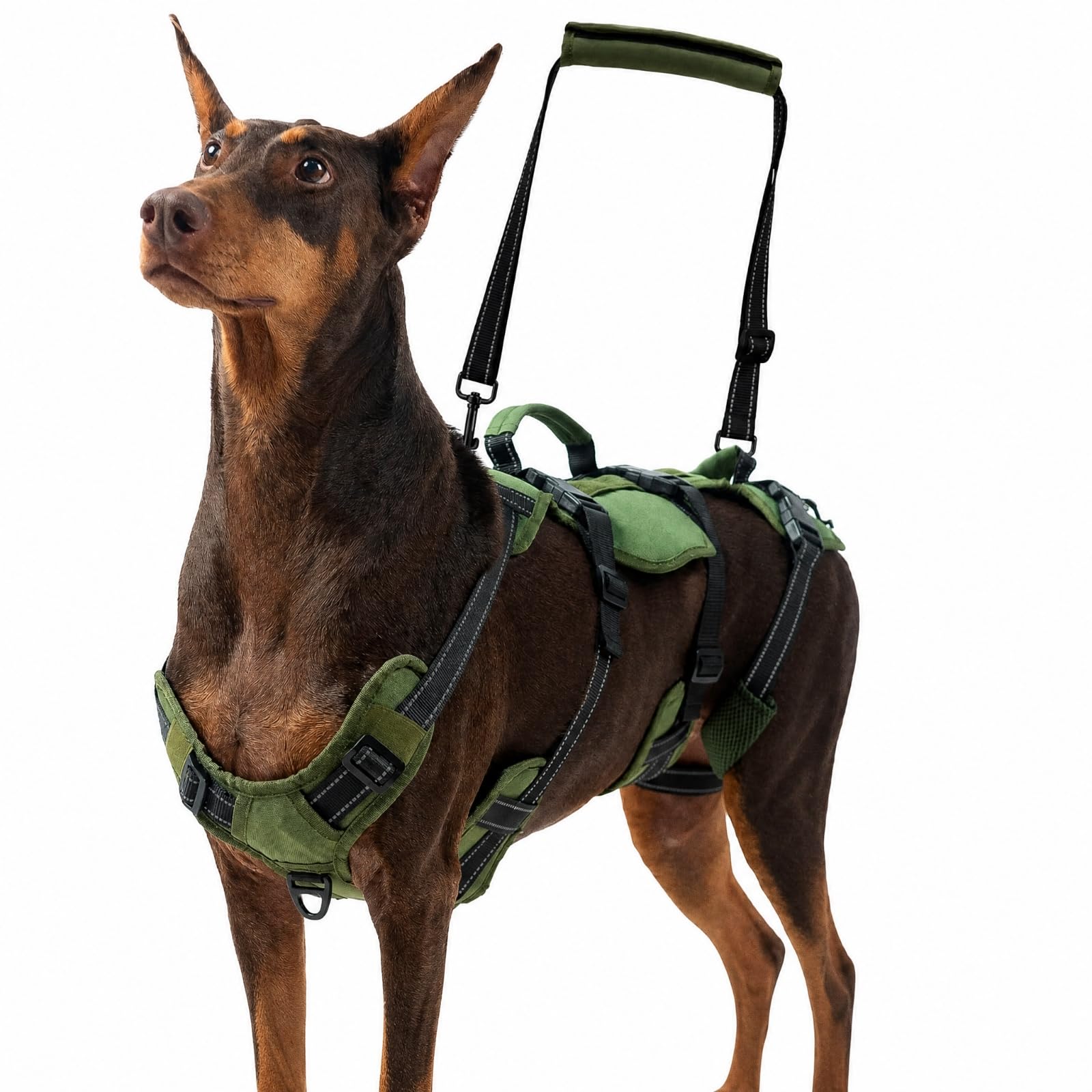 Fascia di Assistenza per Cani Ergonomico | Facile da Indossare, Imbracatura per Cani con Fibbie di Chiusura, Imbracatura Riabilitazione, Passeggiate All'aperto, Verde Militare, M