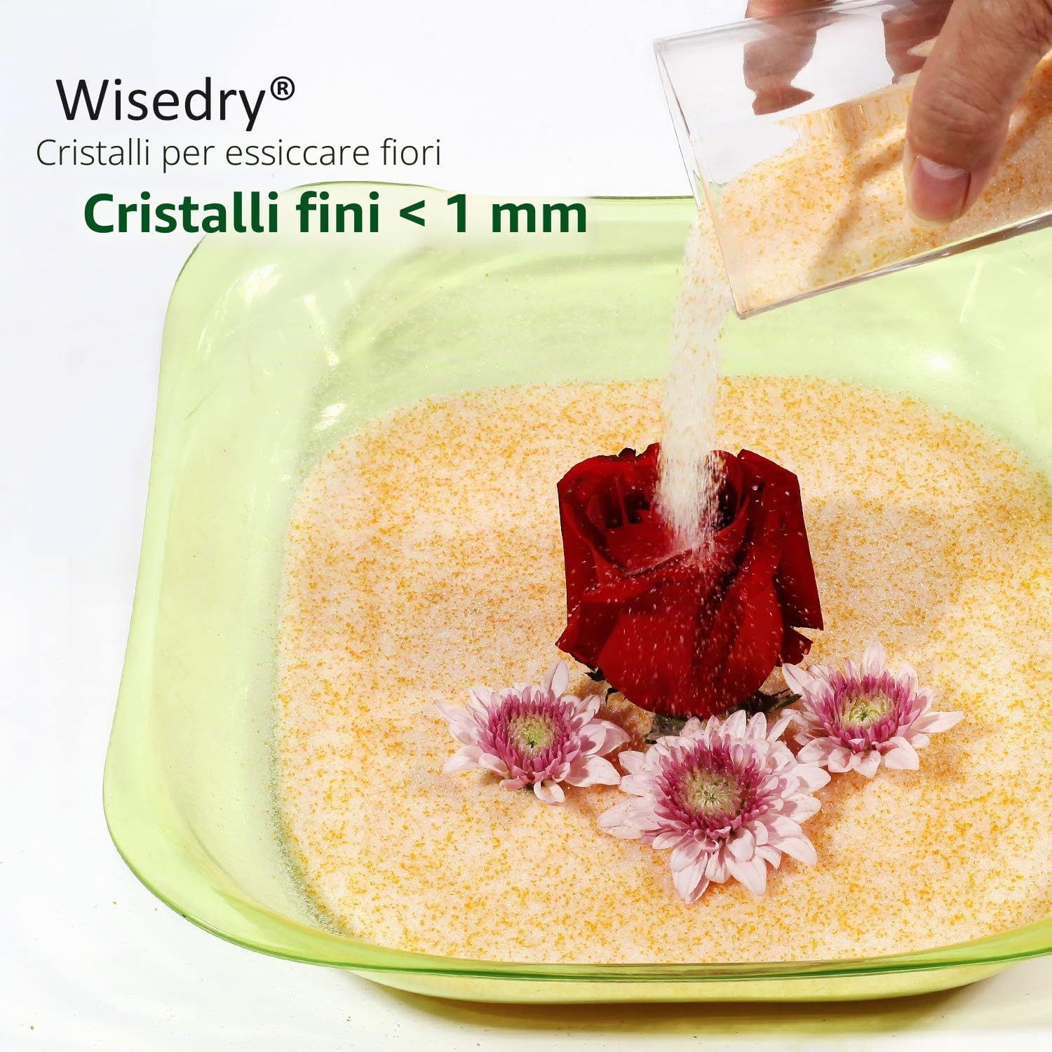wisedry 8 libbre di cristalli di gel di silice per l'essiccazione dei fiori, colore indicativo, riutilizzabili