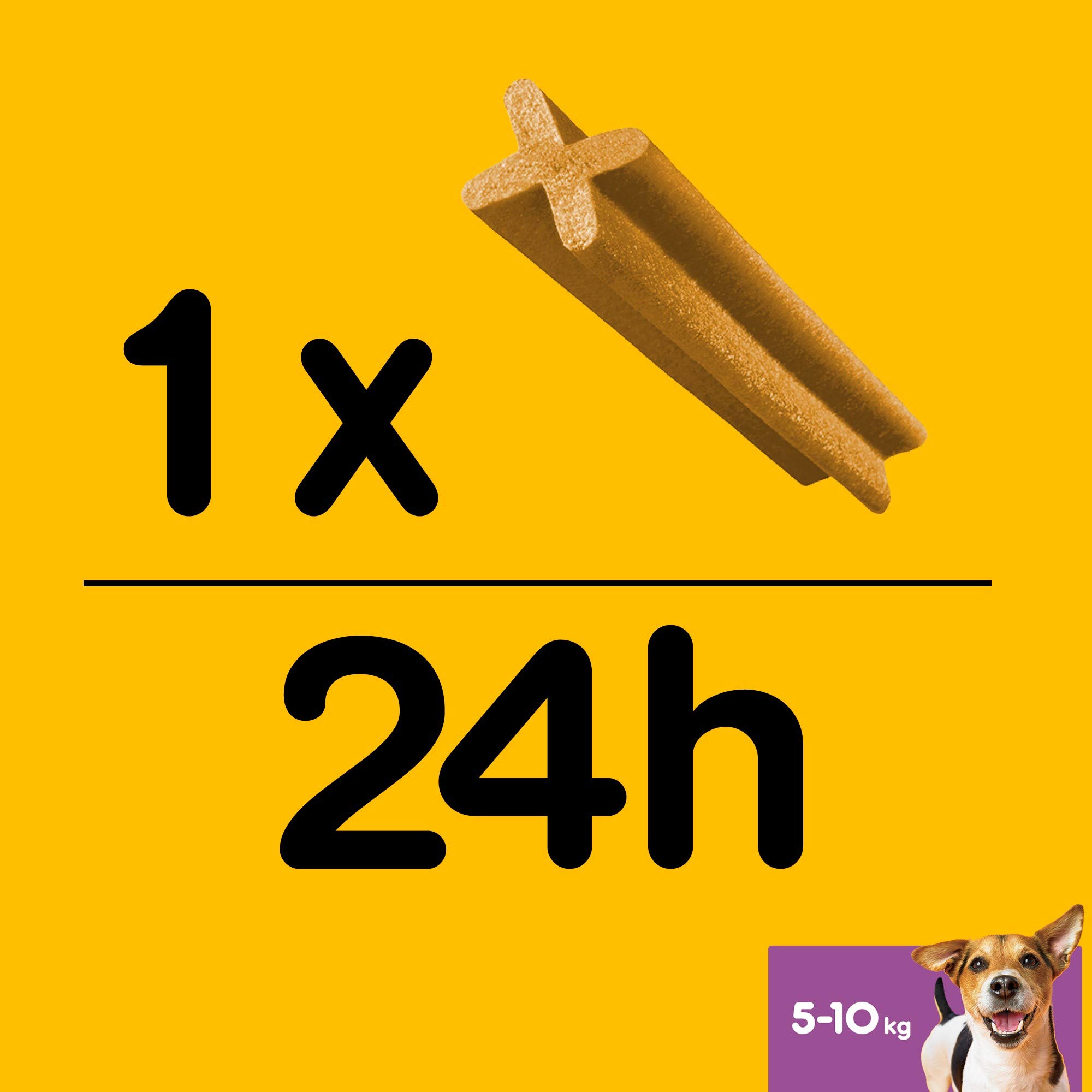 Pedigree Dentastix - Friandises pour petit chien, 56 bâtonnets à mâcher pour l'hygiène bucco-dentaire (1 boîte de 880 g / Total 56 Sticks)