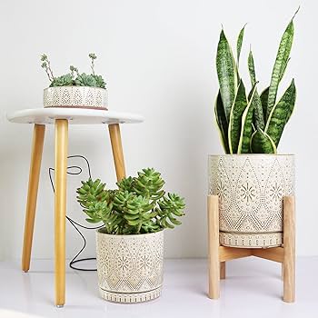 Neighborhood SRL BAPE NBHD PLANT POT 鉢 Neighborhood SRL BAPE NBHD PLANT POT 鉢