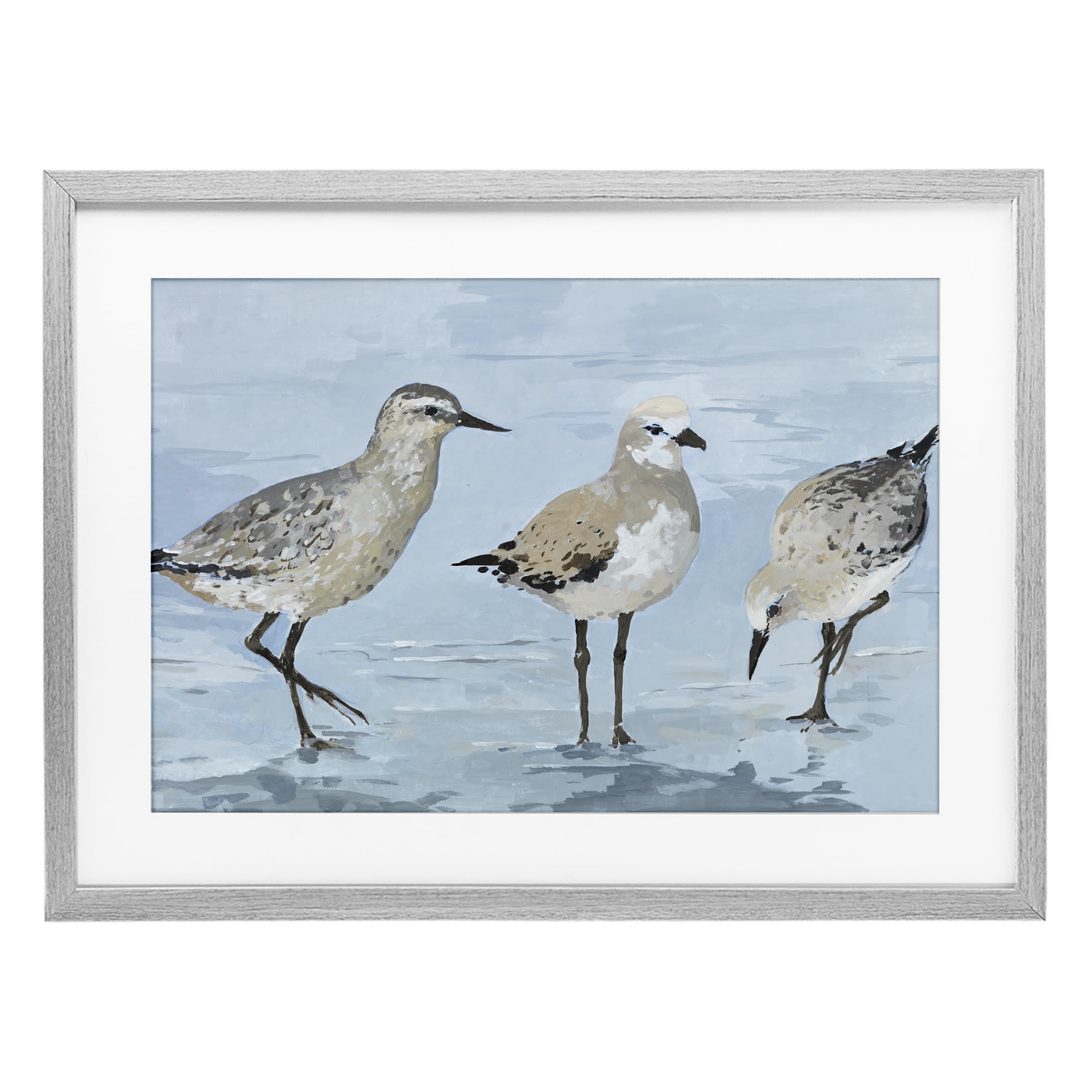Stupell Industries 'Sandpipers Beach Coastal Scene', Framed Print Under Glass, Gray, 23 x 17