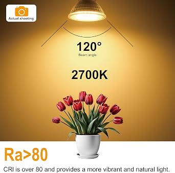 MR16 GU5.3 LED Bulbs Warm White, 6W Replace 50W Halogen Bulbs, 485Lm 2700K Light Bulbs, 12V Low Voltage, Non-Dimmable, 120 Beam Angle, Flicker-Free Spotlight, 6-Pack