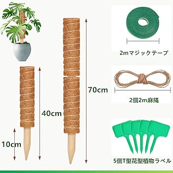 Amazon | SensaBliss モンステラ 支柱 園芸支柱 2本セット つる