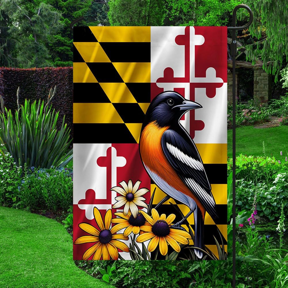 Amazon.com : Maryland State Baltimore Oriole Bird and Black-eyed