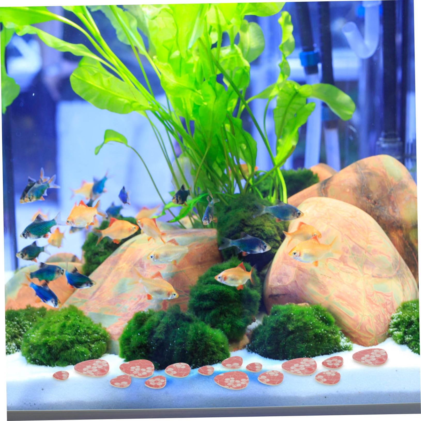 Yardwe 2 Pezzi 1 decorazione dell'acquario pietre decorative sassolini decorativi substrato paesaggio decorazioni giardino di ciottoli paesaggistici rocce decorative per fioriere ciottolo