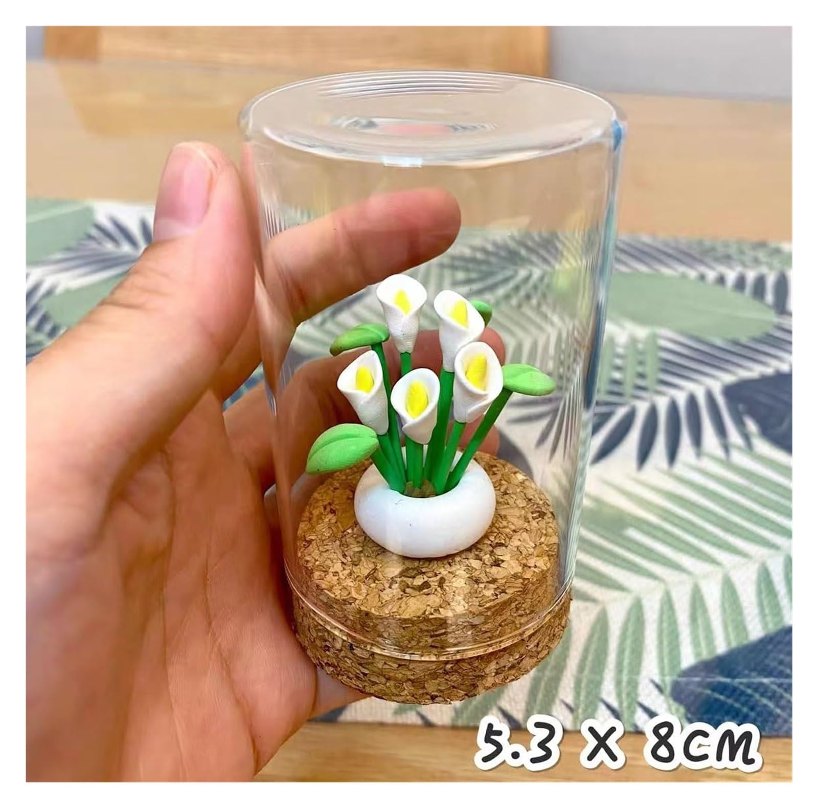 Przezroczysta szklana kopuła, 5 sztuk mini szklanych butelek, słoików z korkami(8 * 10cm)