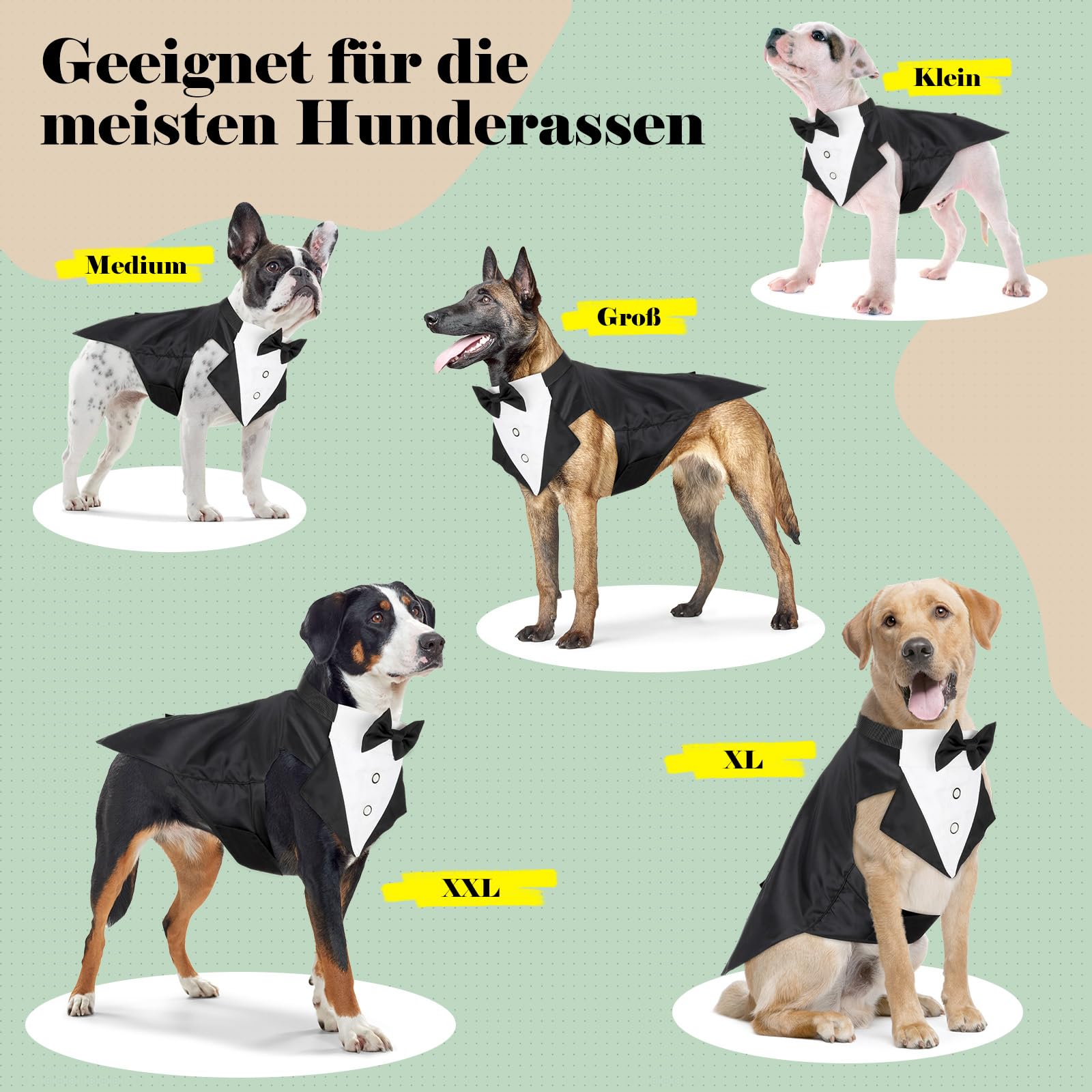 Illumifun Smokinganzug und Bandana-Set, eleganter Hunde-Hochzeitsparty-Anzug mit Fliege, Hemd, Weste, Haustier-Smoking-Kostüm mit abnehmbarem Fliegenkragen (2XL)